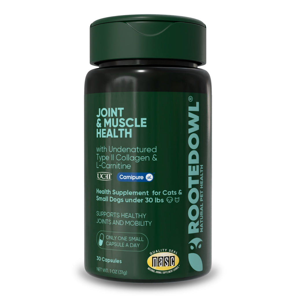 Joint & Muscle Health (Medium & Large Dogs)